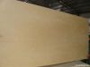 High grade birch plywood