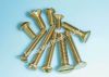 Brass Machine Screws