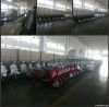Electric Scooter/Motorcycle/Motorbike with CE & EEC