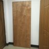 Plywood Door