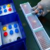 Porcine Encephalitis V...
