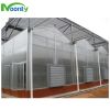 Multi span greenhouse ...