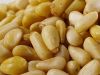 Pine Nuts, Pine Nuts in Shell, Roasted Pine Nuts,