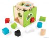 Activity Shape Sorting Cube