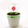 Small LED night light, Decorative LED light, Home decorative LED light