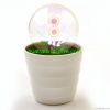Small LED night light, Decorative LED light, Home decorative LED light