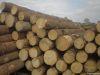 SRUCE/PINE/OAK LOGS