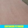 2013 hot sale film faced plywood factory