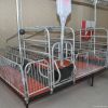 pig farming equipment