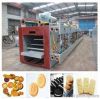 Biscuit Cutting Machin...