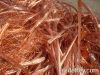 Copper Scraps Supplier...