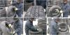 Used tire, 12 to 20inch, Hankook, Kumho, Korea