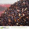 Conventional BLACK QUINOA Grain from PERU Andes