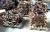 Red Deer Antlers Whole...