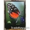 1.8 Inch Color TFT Dis...