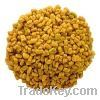 fenugreek seeds