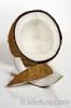 Coconuts