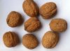 Walnut Kernels | Dried...