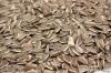 Sunflower Seed | Pumpk...