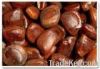 Tamarind Kernel Powder 300mesh 3000MT/month