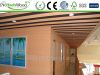 WPC wall Cladding