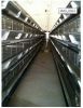 Poultry Farm Equipment...
