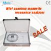 Mini Quantum Magnetic ...