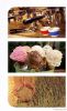 ISO 22000:2005 (Food S...