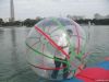 water ball, water walk...