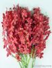 Fresh cut orchids flow...