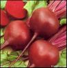 Beet Root Red colour