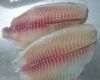 IQF Frozen John Dory f...