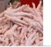 Export Chicken Paw | C...