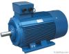 Y2 Series Three-Phase ...