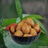 Roasted Peeled Chestnuts Snacks