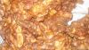 Tamarind