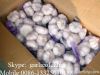 Fresh Garlic Small Pac...