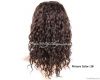 Full Lace Wigs/Lace Fr...