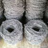 Barbed Wire