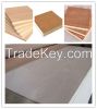 Okoume Plywood
