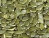 Pumpkin Seeds Grown Wi...