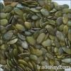 Pumpkin Seeds Grown Wi...