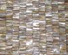 brown shell teeth wall...