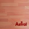 2.4m big size / Laminate Flooring