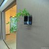 Wall-Garden (Attached ...