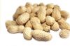 Raw Processing Peanuts...