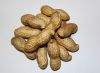 Raw peanuts in shell f...
