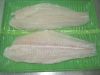 Dory Fillet
