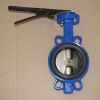 Soft Back Wafer Butterfly Valve with CE