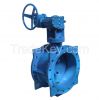 Eccentric Double Flanged Butterfly Valve